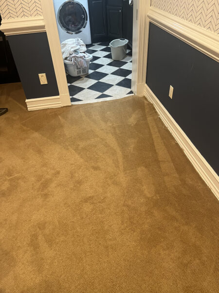 All American Dry Carpet and Upholstery Cleaning Hackensack NJ